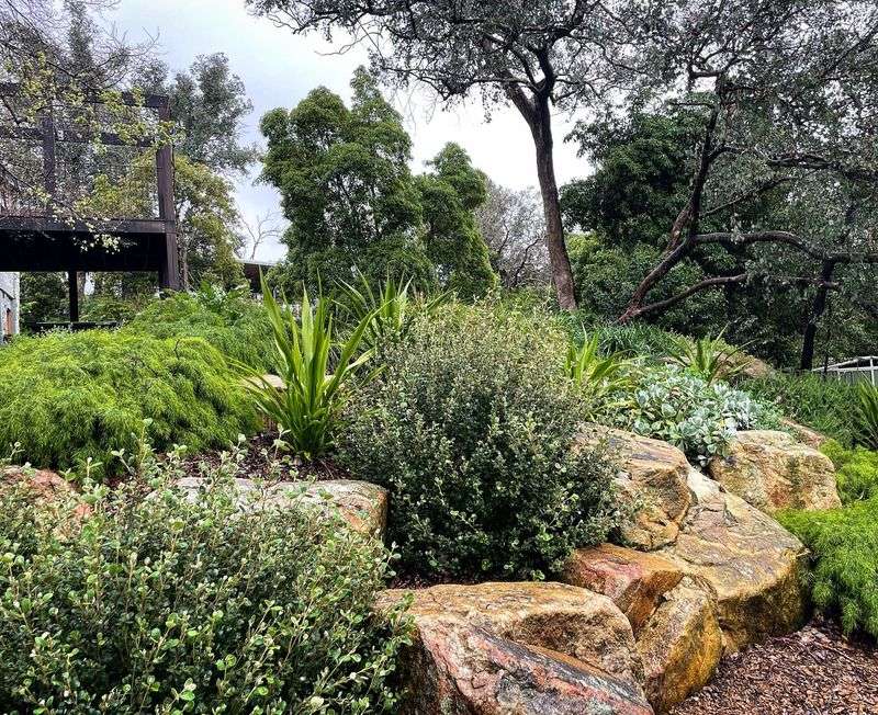 Native Plant Rock Gardens