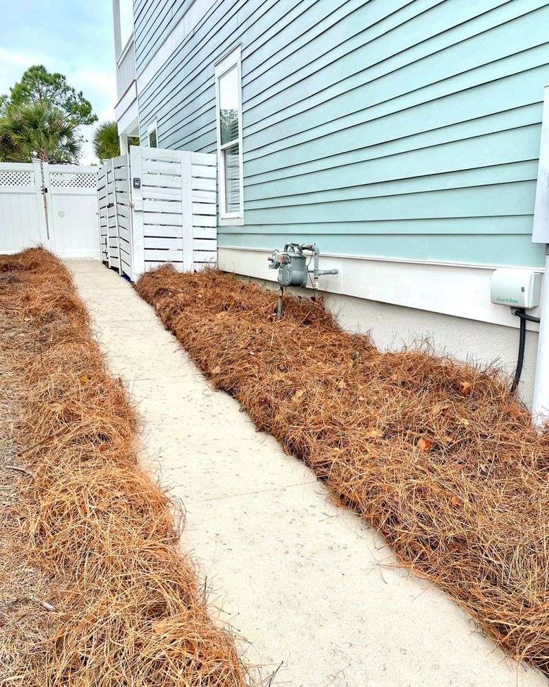 Pine Needle Mulch