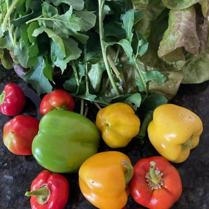 Bell Peppers