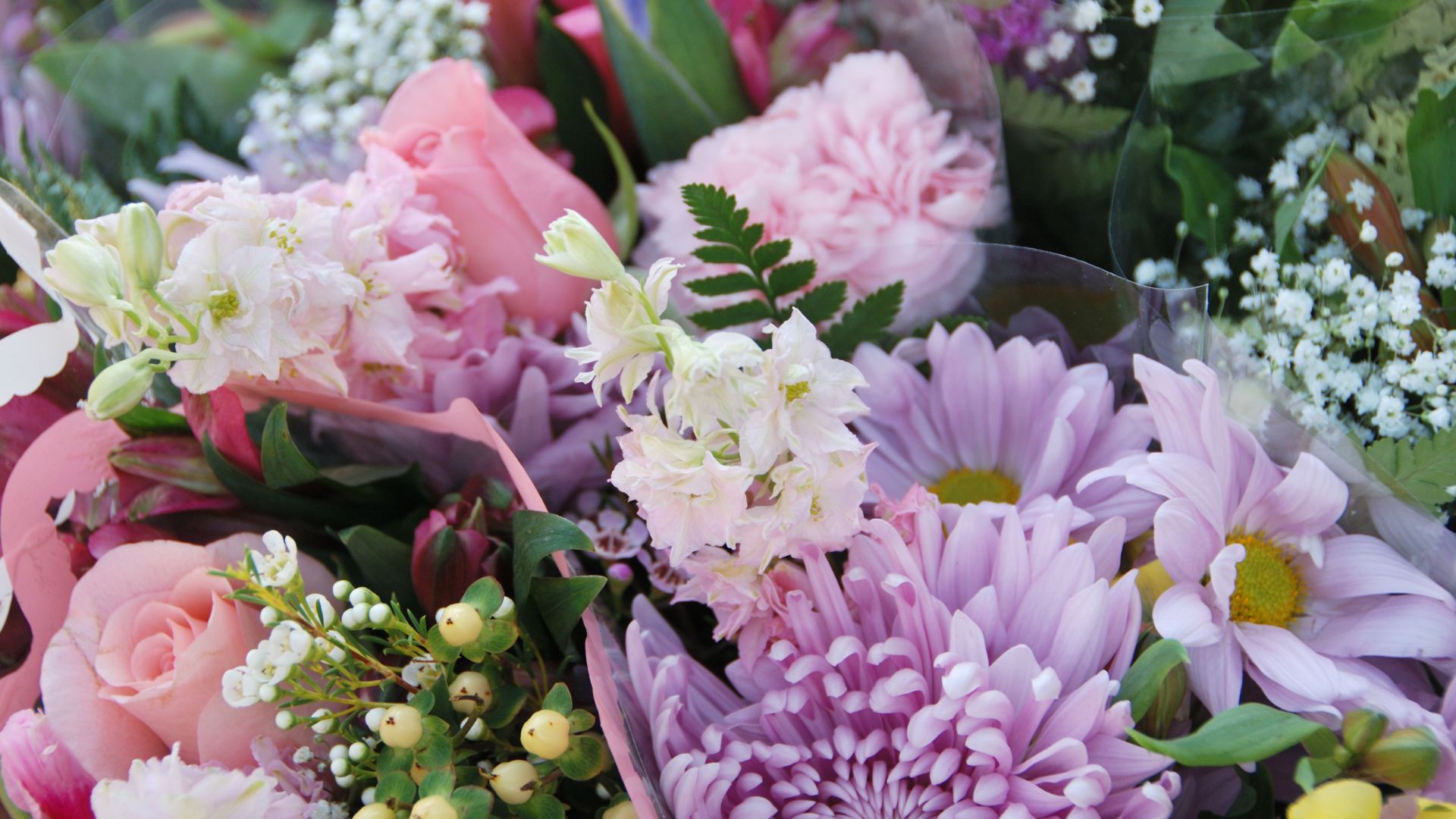 Cut Flowers You Can Grow In New York Straight From Store-Bought Bouquets