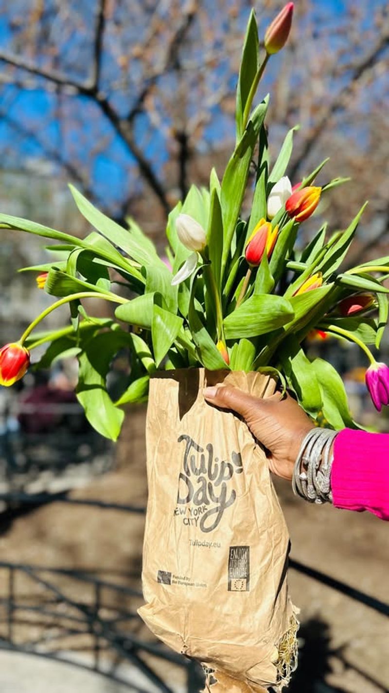 Tulips