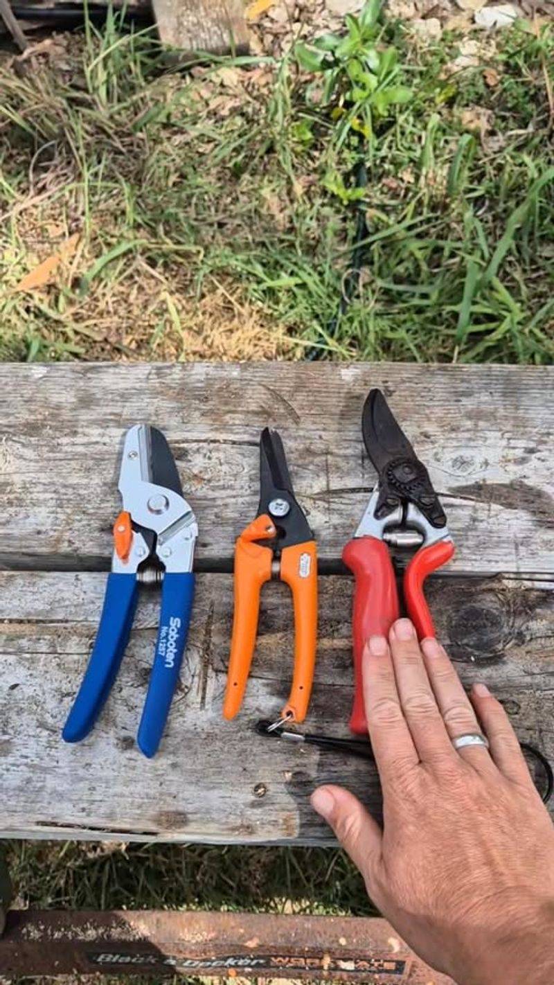 Ignoring Sterilization Of Tools