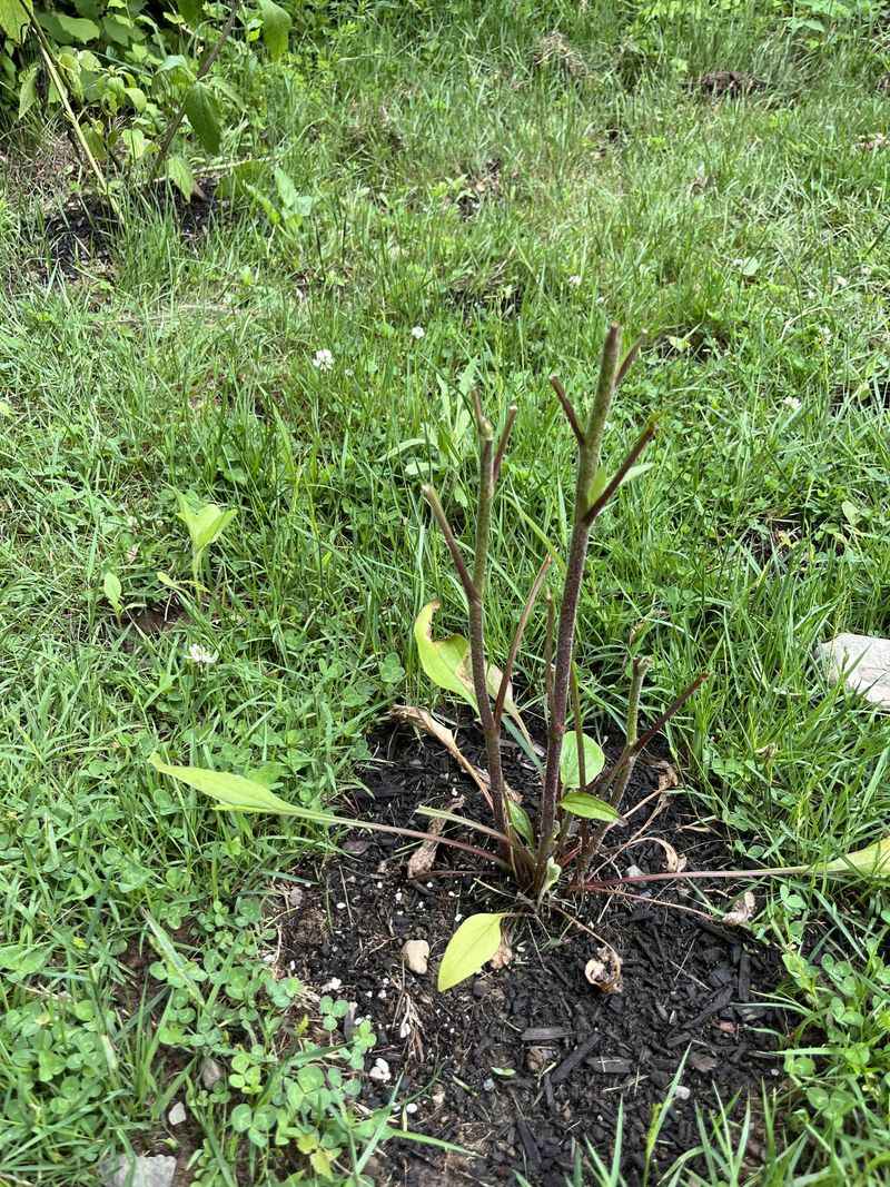 Ignoring Protected Plants