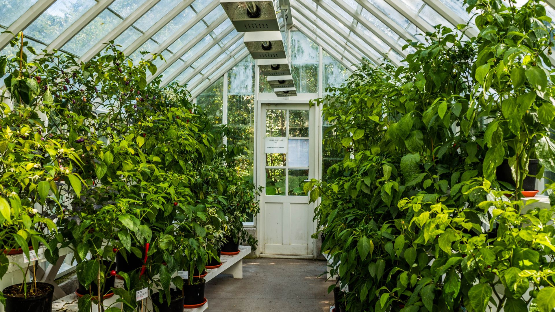 DIY Greenhouse Ideas To Transform Your Backyard In Pennsylvania