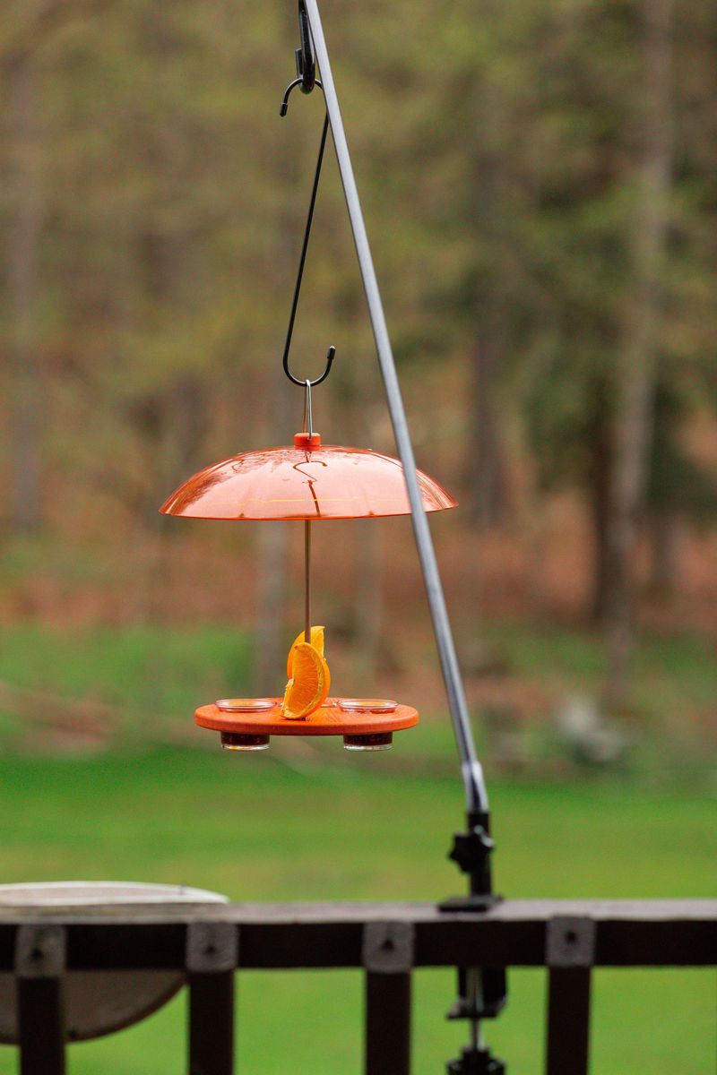 DON'T Forget to Clean Feeders Weekly
