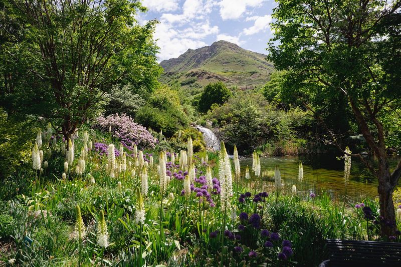 Red Butte Garden - Salt Lake City, Utah