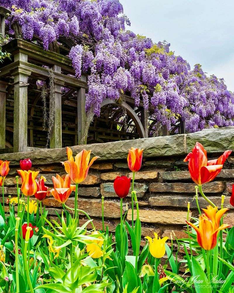 Dumbarton Oaks, Washington DC