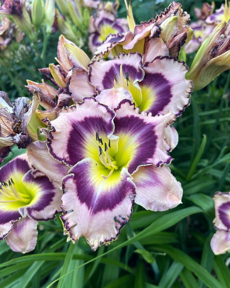 Bloom Documentation