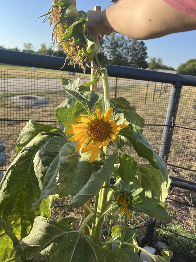 Create A Deadheading Schedule