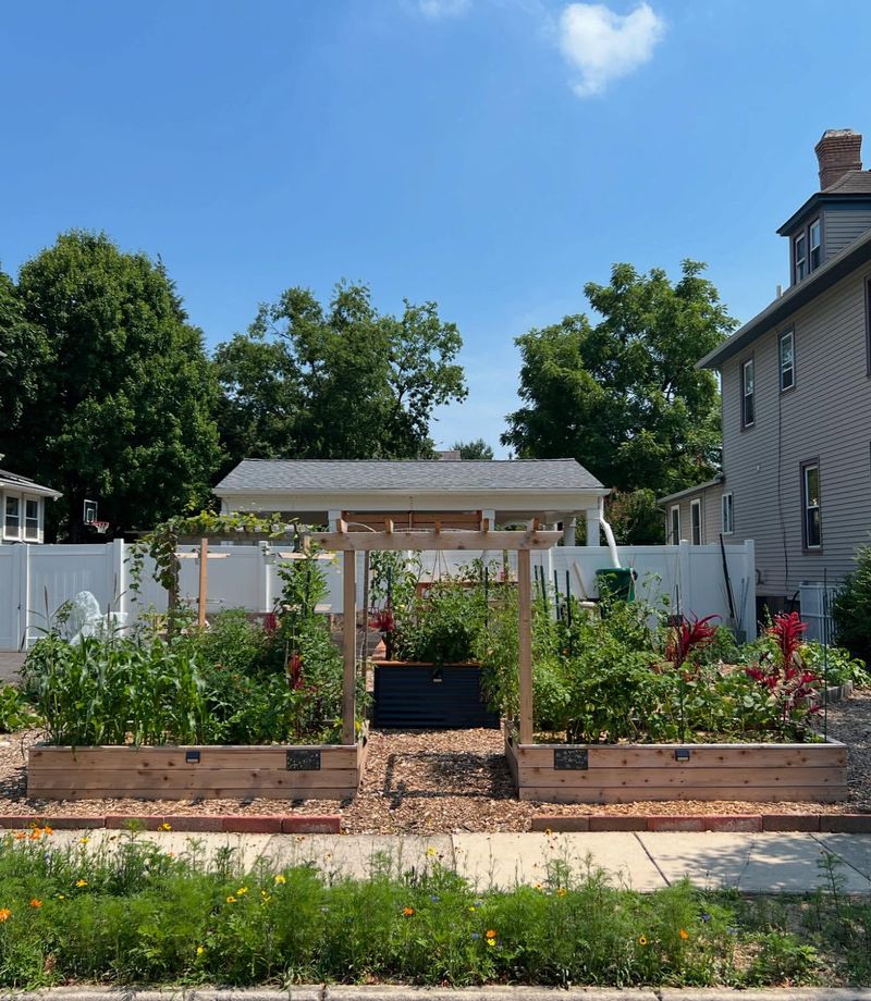 Vegetable Gardens in Front Yards