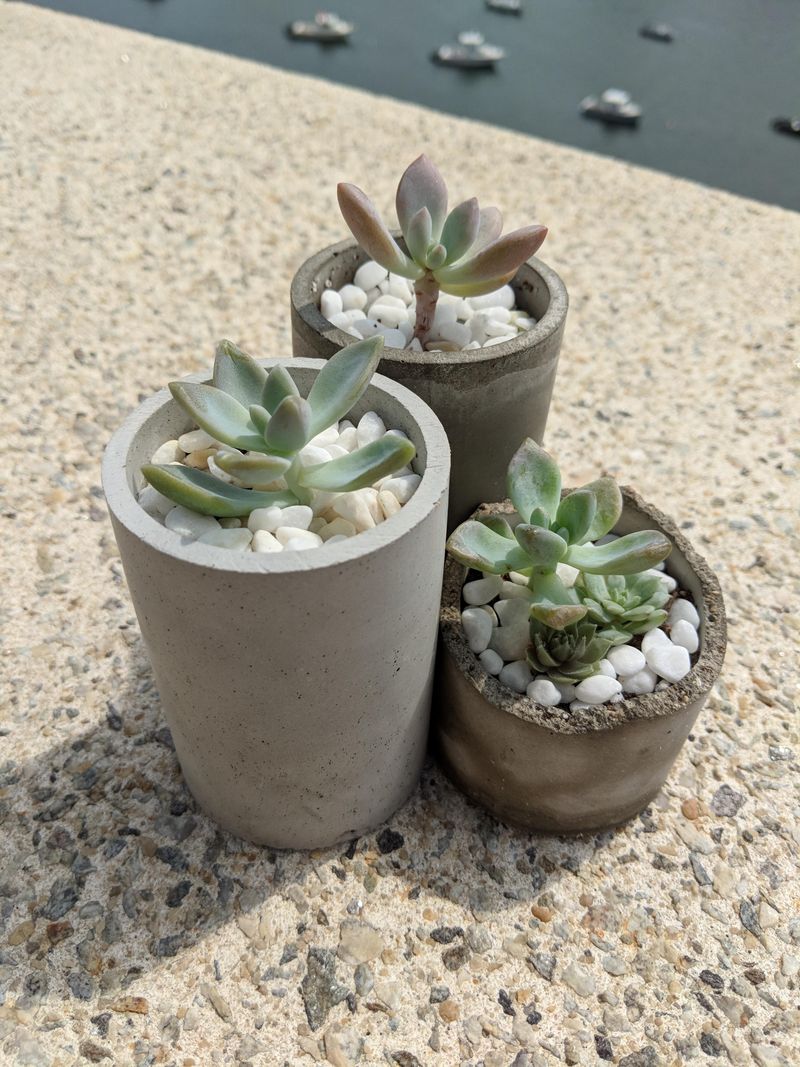 Concrete Planter Molds