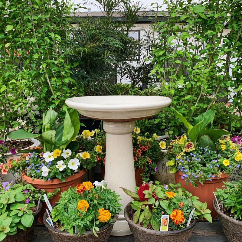 Bird-Friendly Features