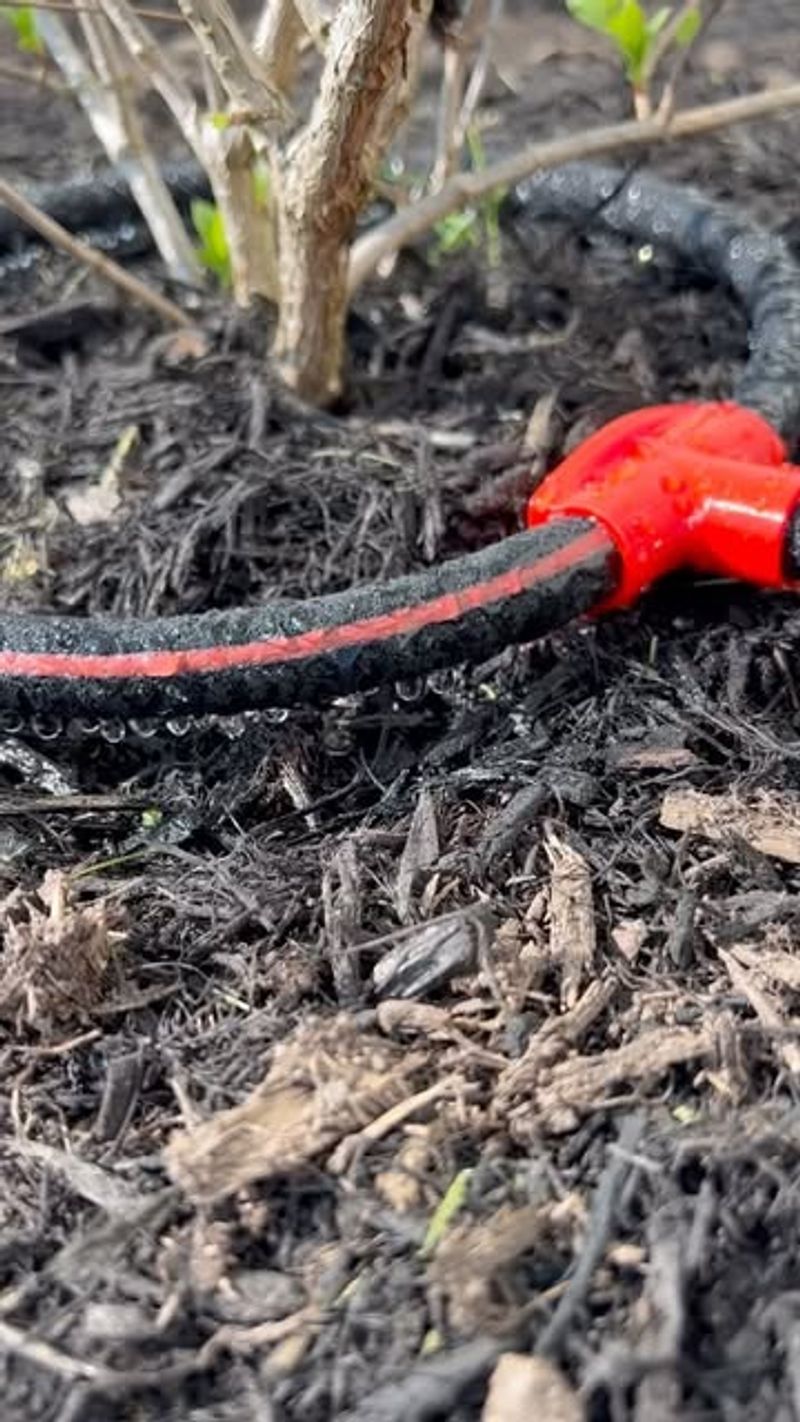Soaker Hoses Save Water And Plants