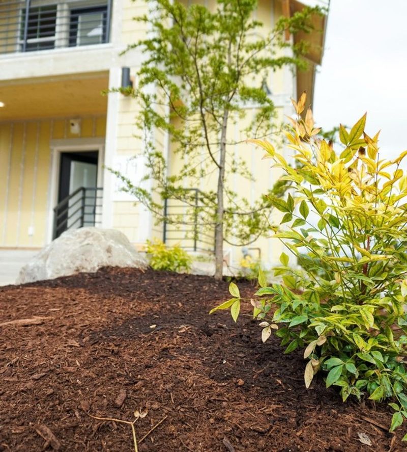 Mulch Maintenance
