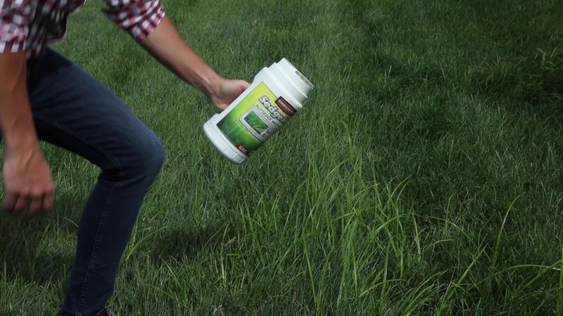 Treat With Selective Herbicides