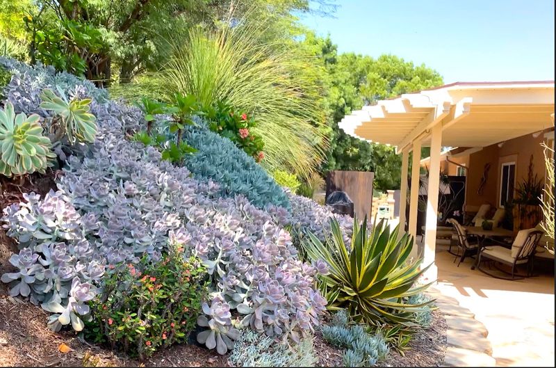Terraced Rock Garden