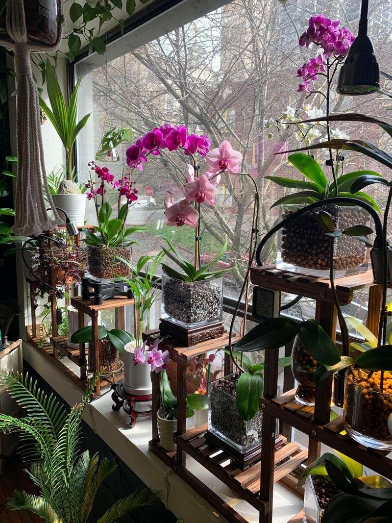 Try Semi-Hydroponics with Wicking Reservoirs