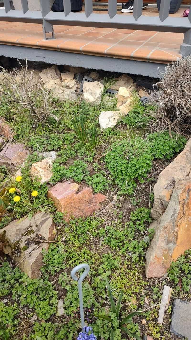 Threatens Native Plants