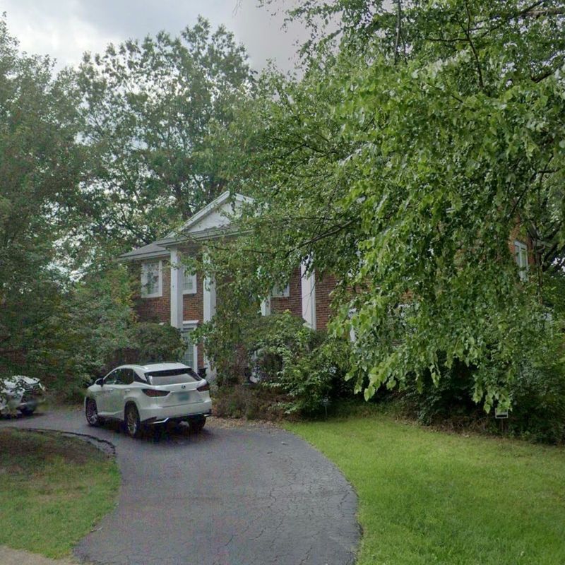 Overgrown Landscaping