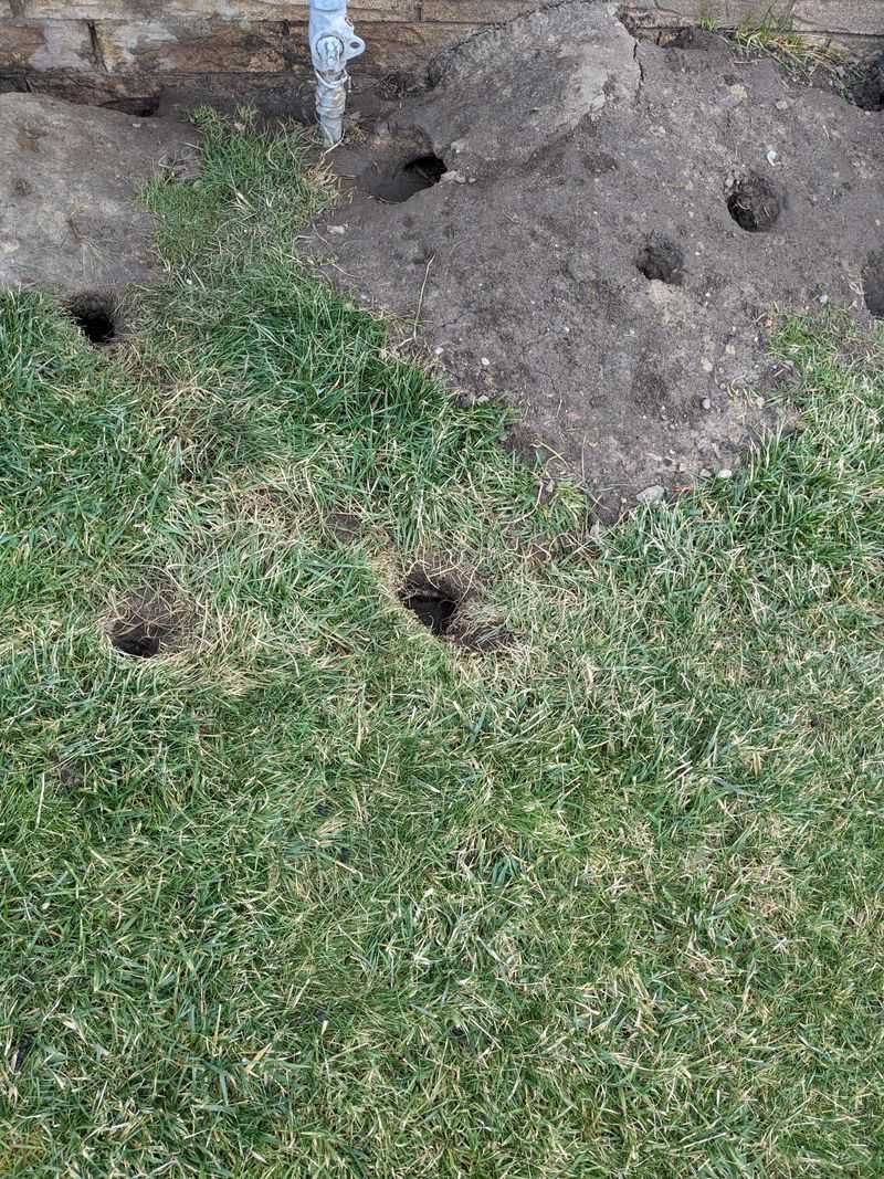 Strange Odors Around Holes