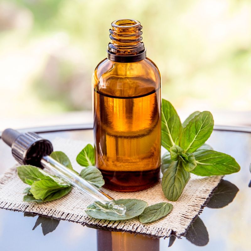 Peppermint Oil: Nature's Minty Shield