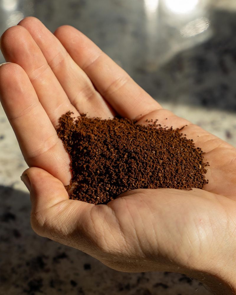 Coffee Grounds Barrier