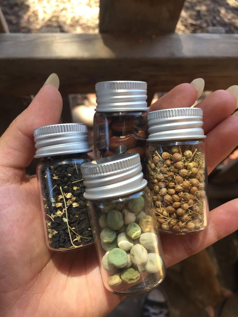 Save and Store Seeds