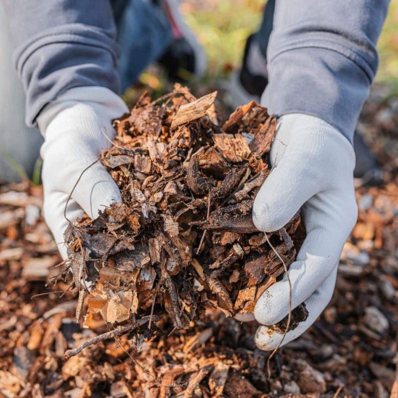 Mulch To Retain Moisture