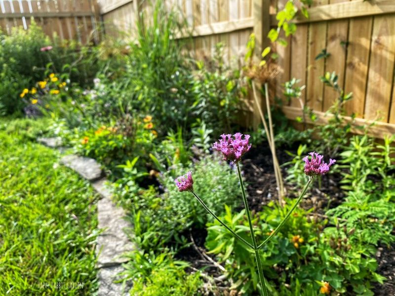Create A Defensive Planting Zone