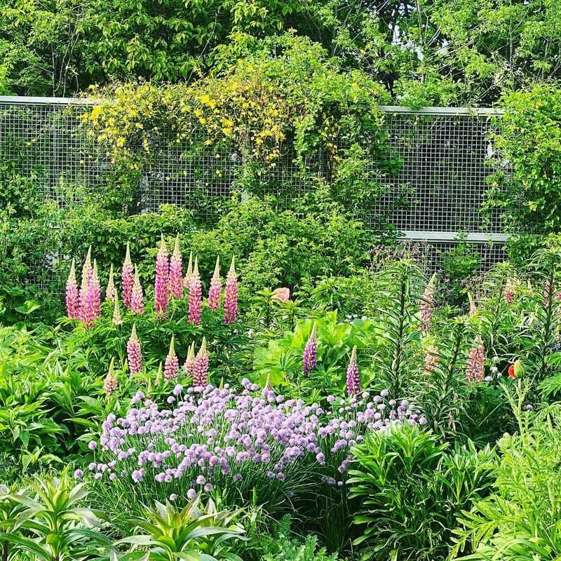 Plan For Succession Blooming
