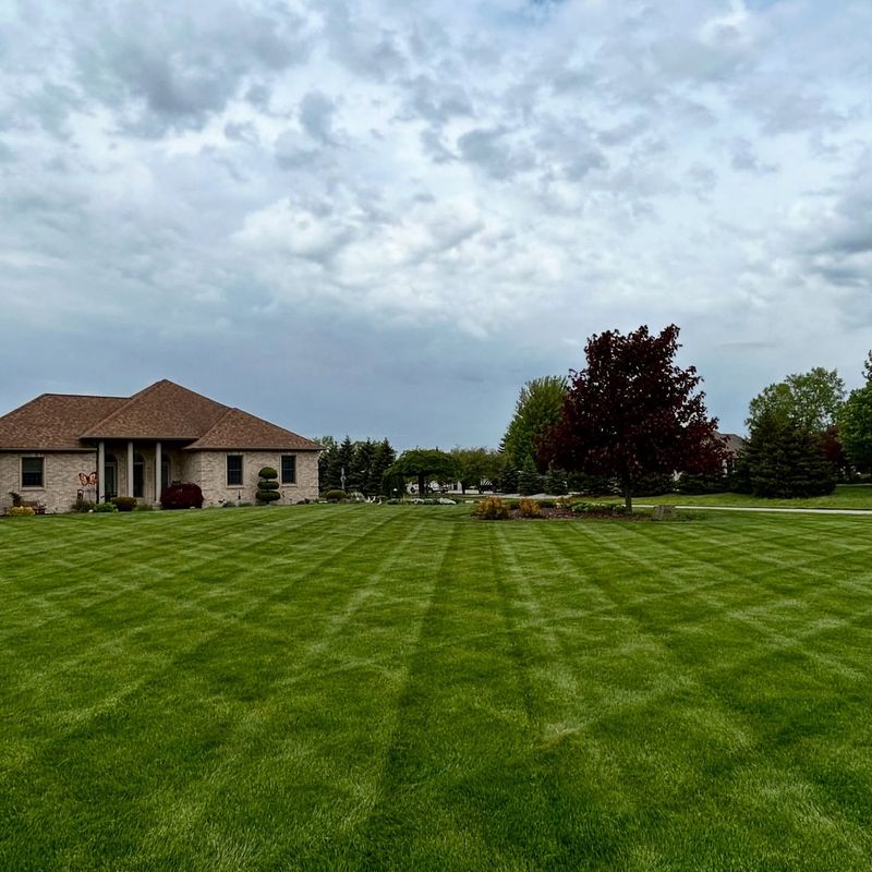 Core Aeration