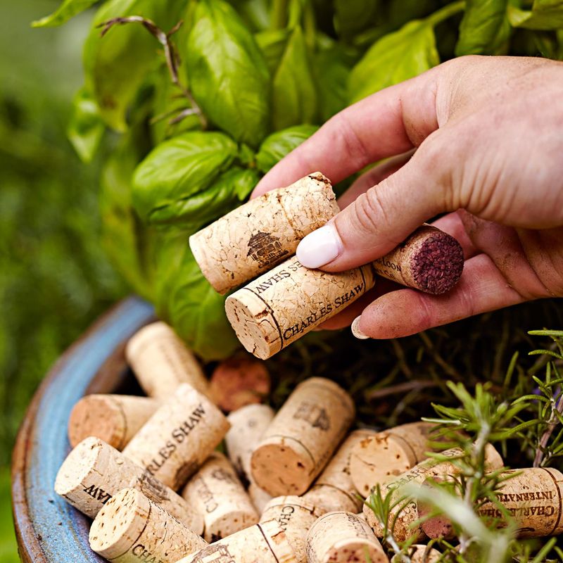 Mulch Alternative for Small Plants