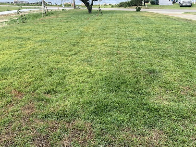 Soil Compaction
