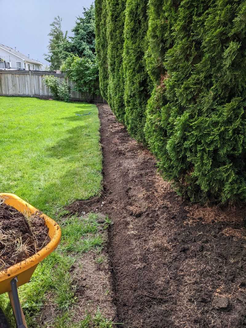 Pine Straw Mulch Borders