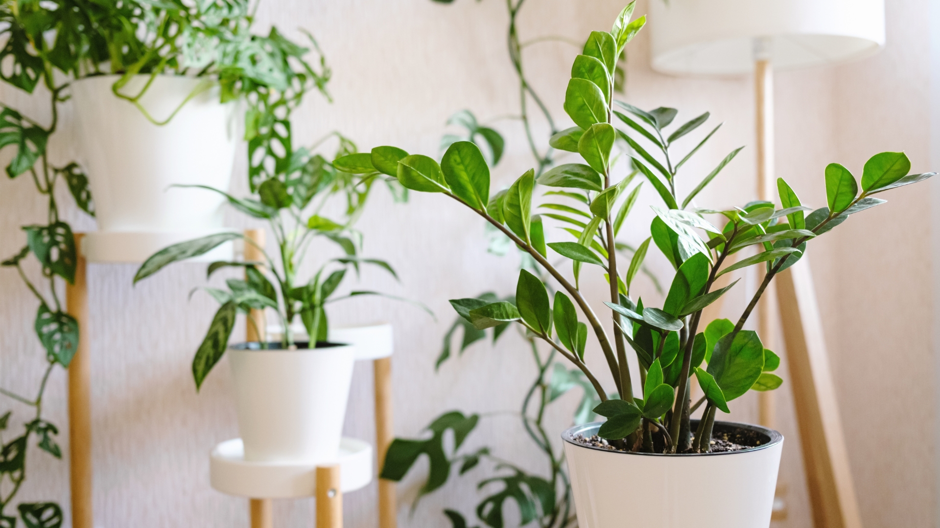 Easy-Care Plants That Survive With Or Without You