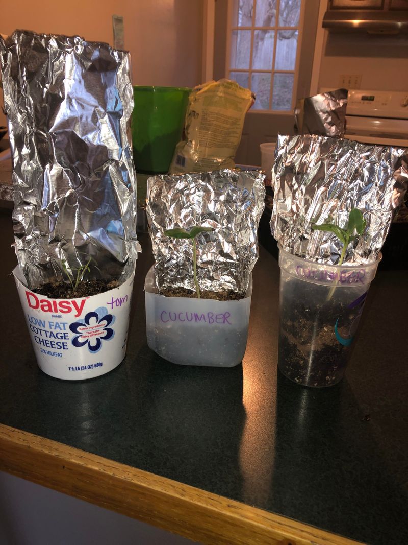 Aluminum Foil Light Reflectors