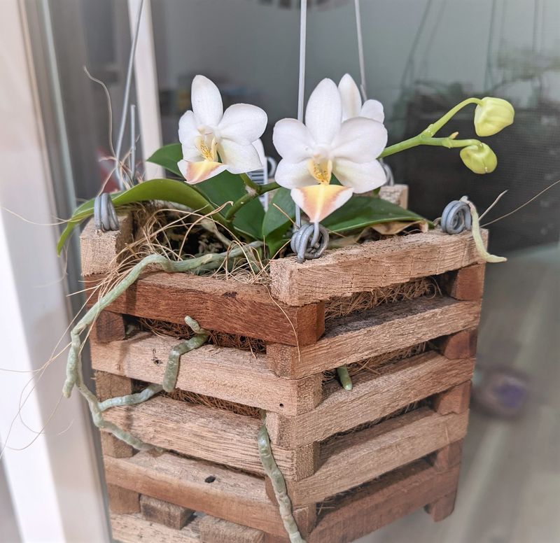 Make Wooden Slat Baskets
