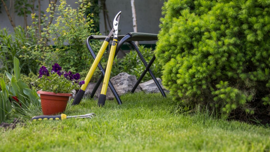 lawn