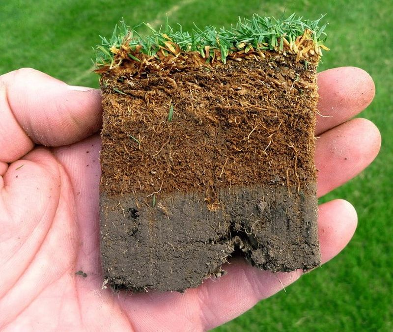 Balances Nitrogen Levels