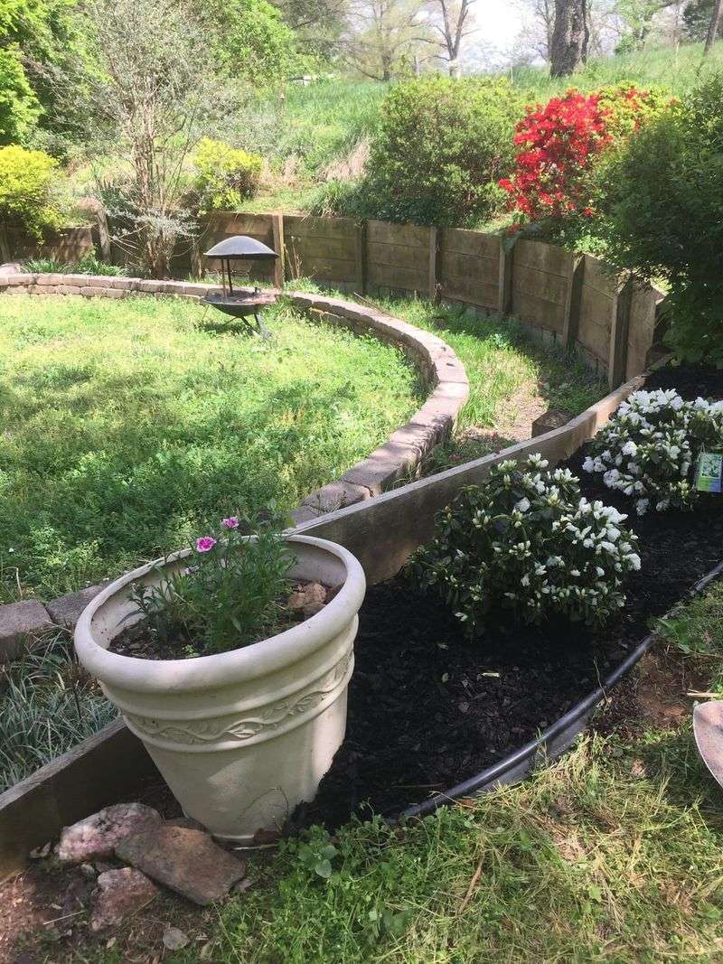 Setting Perfection As The Goal