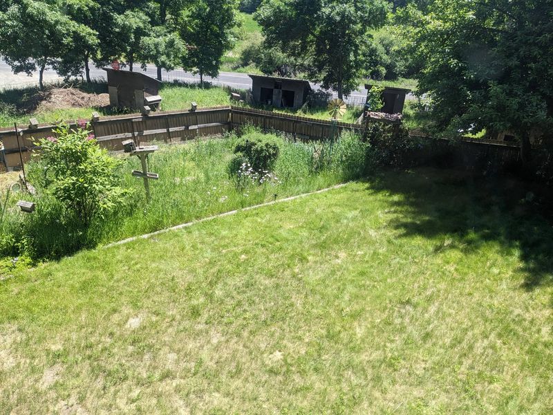 Manage Overgrown Areas