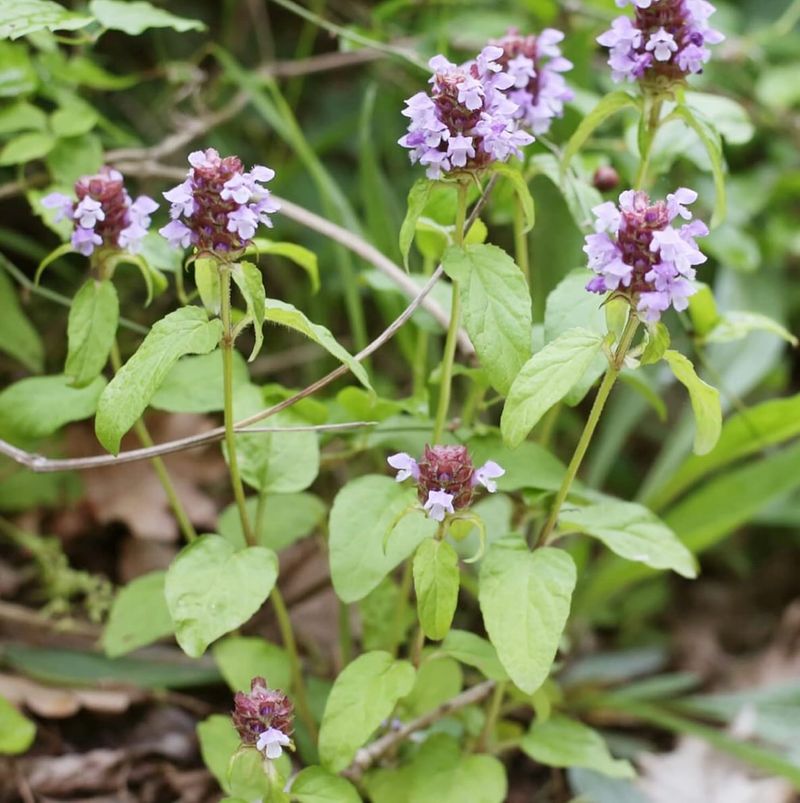 Self-Heal
