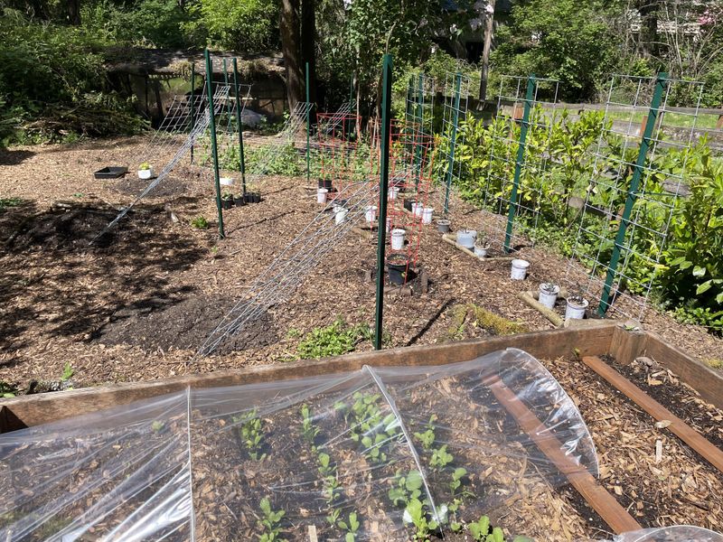 Consider Soil Temperature Control