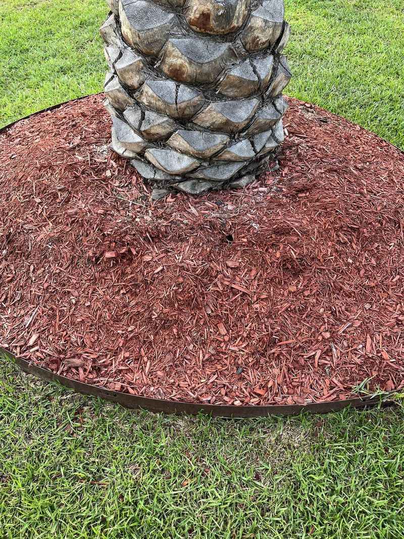 Chemical Dyes Contaminate Soil