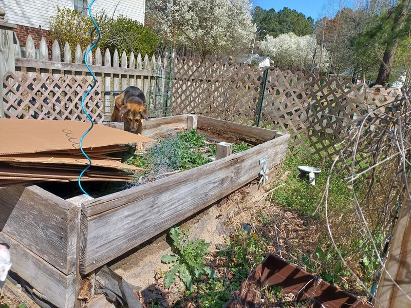Unapproved Raised Garden Beds
