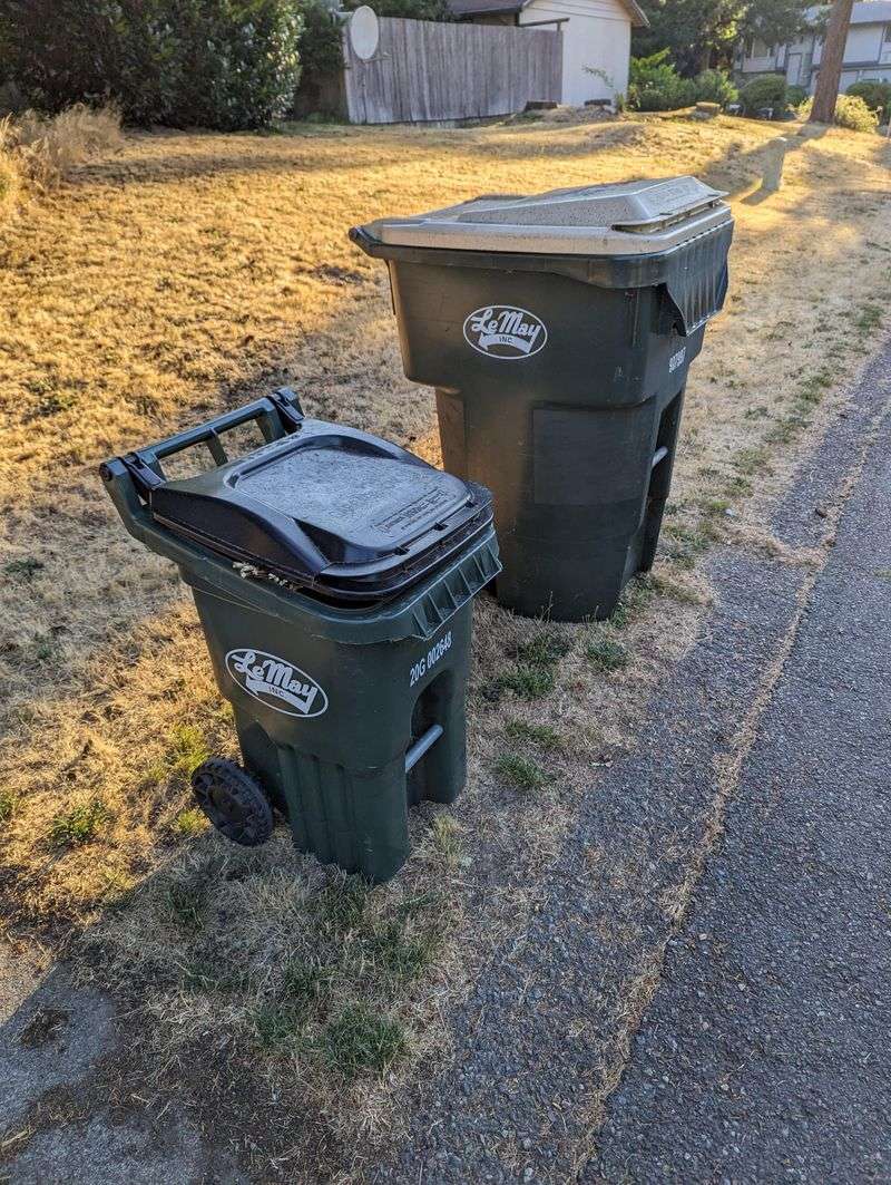 Overflowing Trash Cans