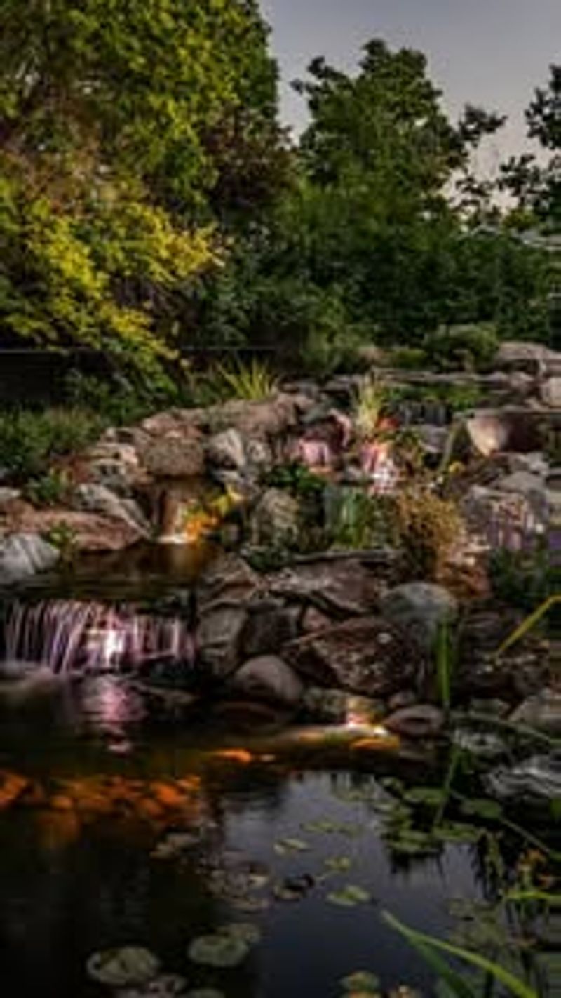 Koi Ponds