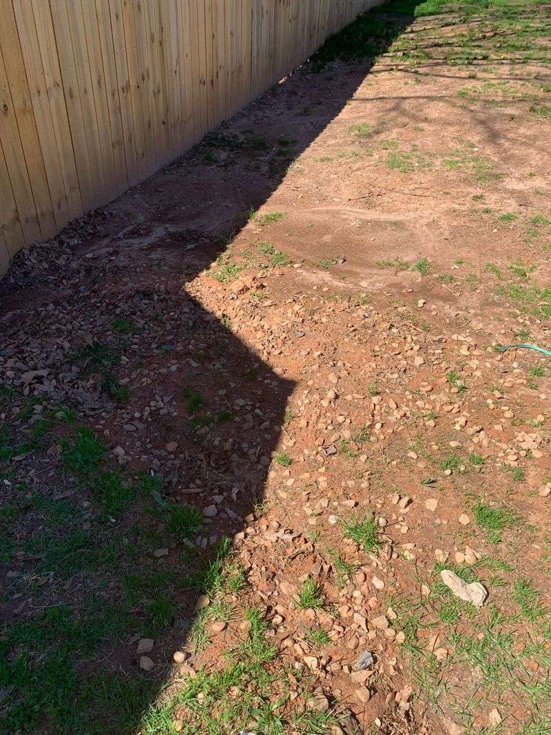 Compacted Soil Prevents Healthy Root Systems