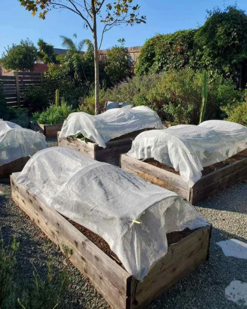 Install Shade Cloth During Heat Waves