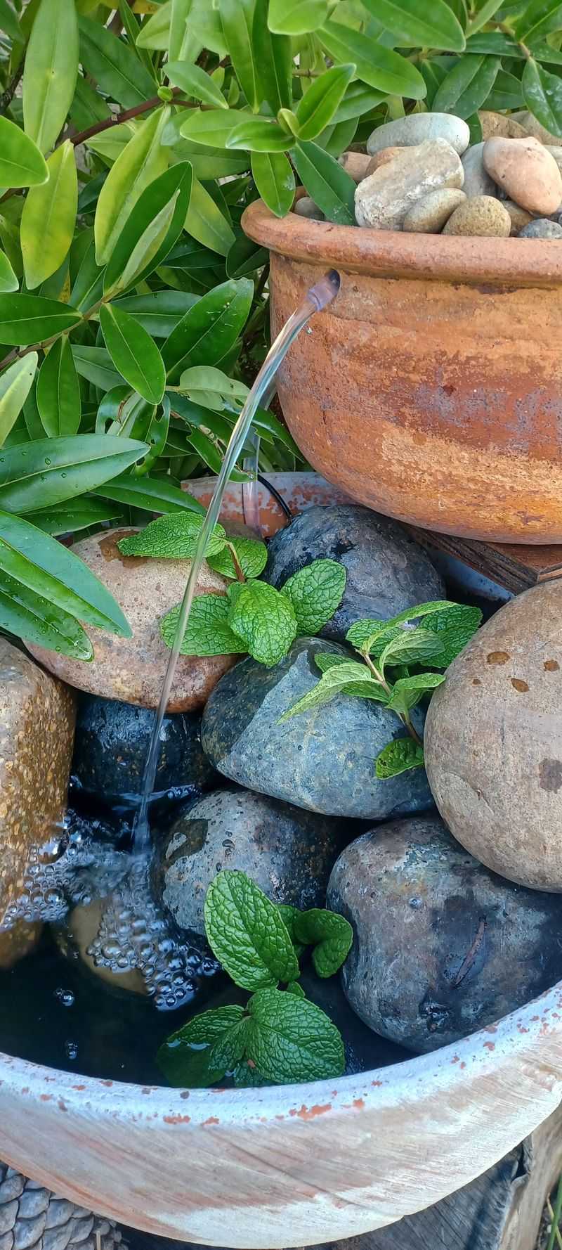 Unauthorized Water Features